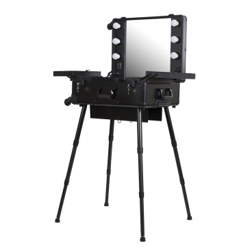 Мобильная студия визажиста &quot;VZ-210&quot;