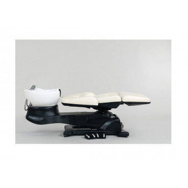 Мойка парикмахерская &quot;Destiny&quot;