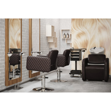 Парикмахерская мойка &quot;Партизан&quot;